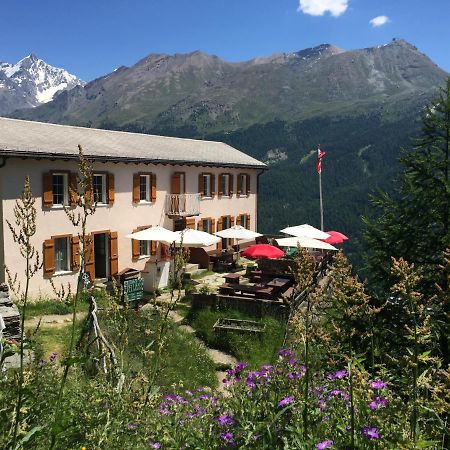 Edelweiss Mountain Guest House - 1 Hour Hike Up From Zermatt Station - On Hiking Trail - No Transport 외부 사진
