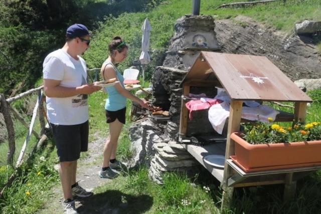 Edelweiss Mountain Guest House - 1 Hour Hike Up From Zermatt Station - On Hiking Trail - No Transport 외부 사진
